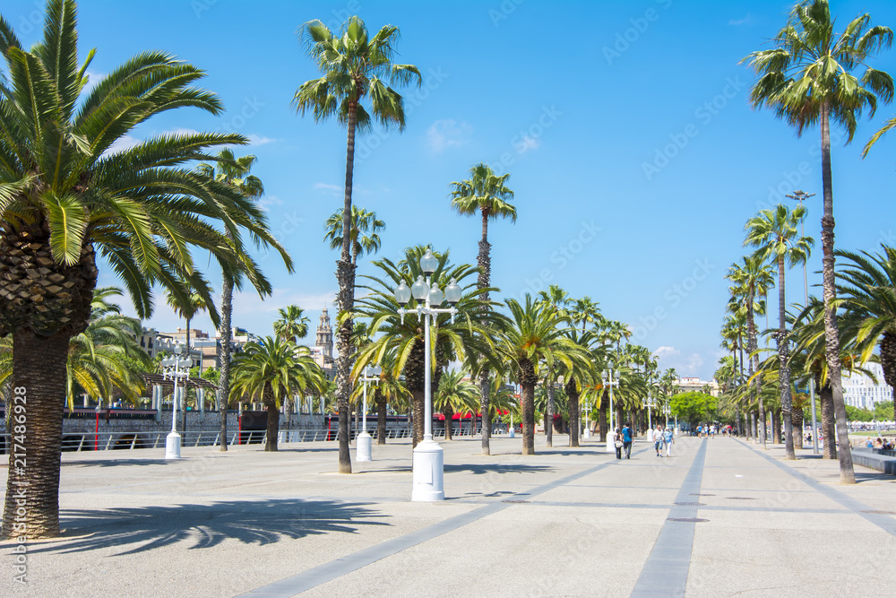 Barcelona promenade and palm trees, Spain