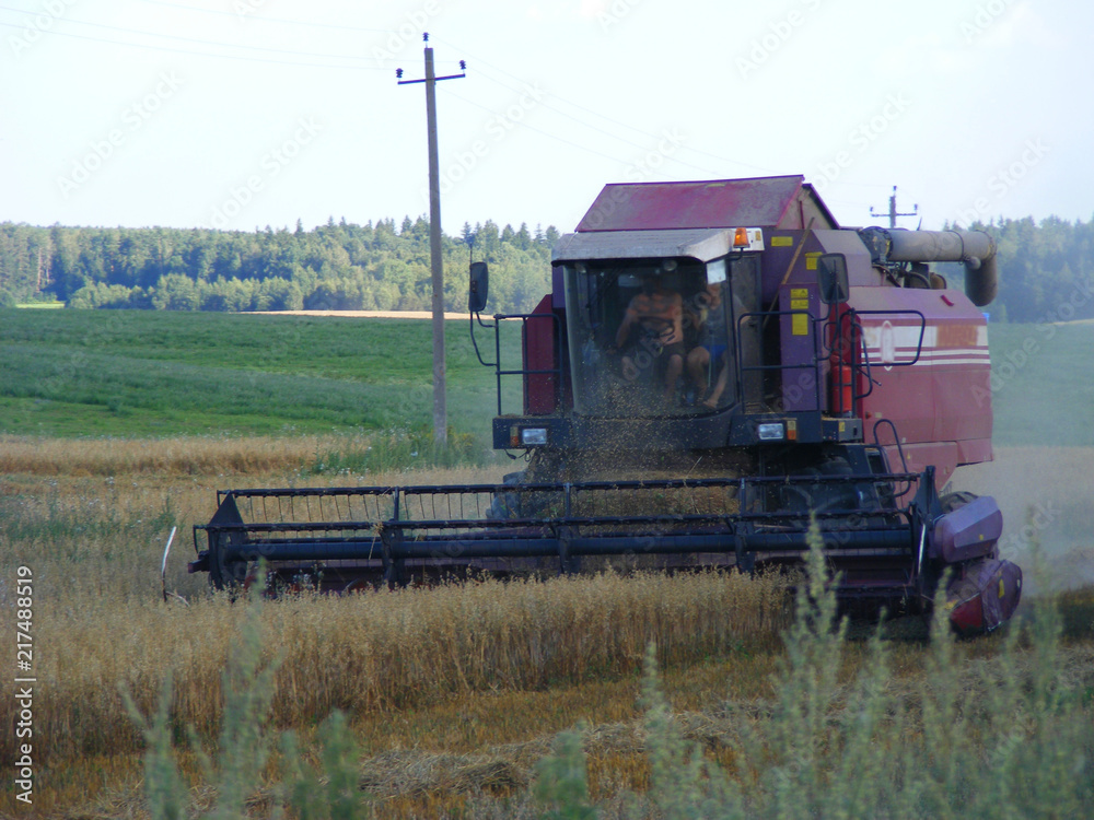 Fototapeta premium Combine harvester on a oast field. Machine, heavy.