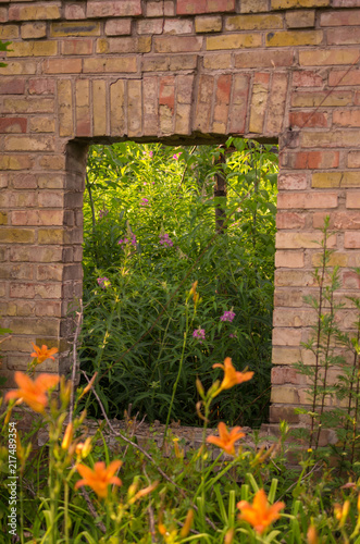 Window with flowers. A window into nature.
