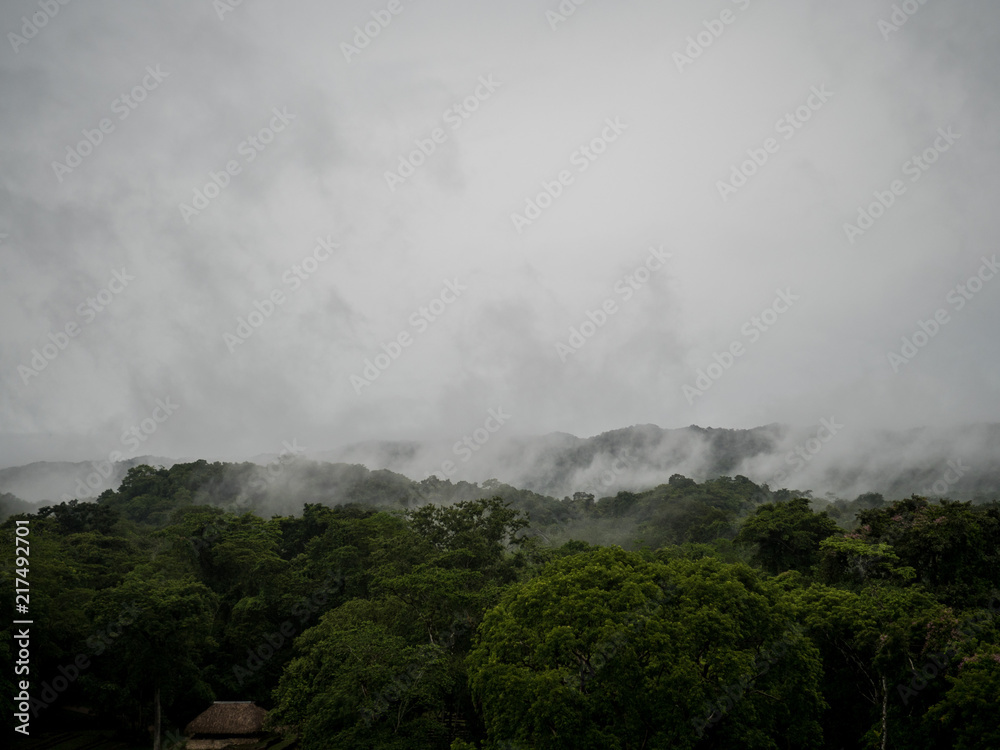 Clouds cover jungle in mountains