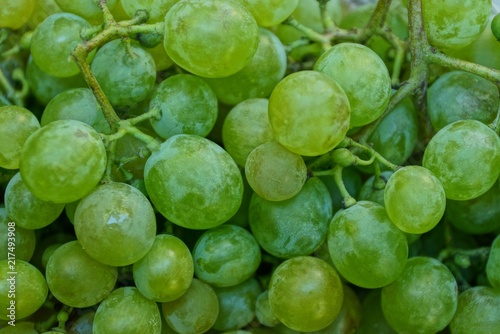 natural vegetative texture of a lot of green grapes