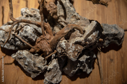 Aquarium Decor Rocks And Wood