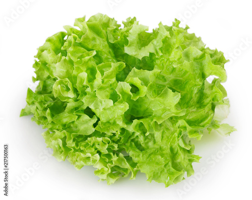 Fresh lettuce salad