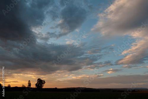 Tree silhouette, open field with beautiful cloudscape at sunset, South Africa