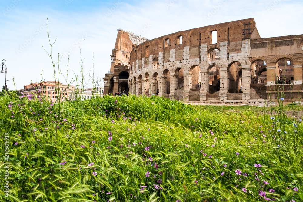 ローマ市内の古代遺跡（イタリア）　コロッセオと紫の花