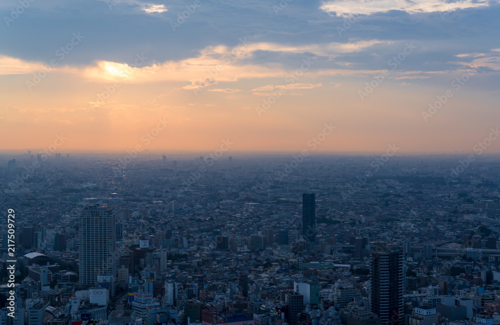 Obraz premium 東京夕景・池袋から望む西方面