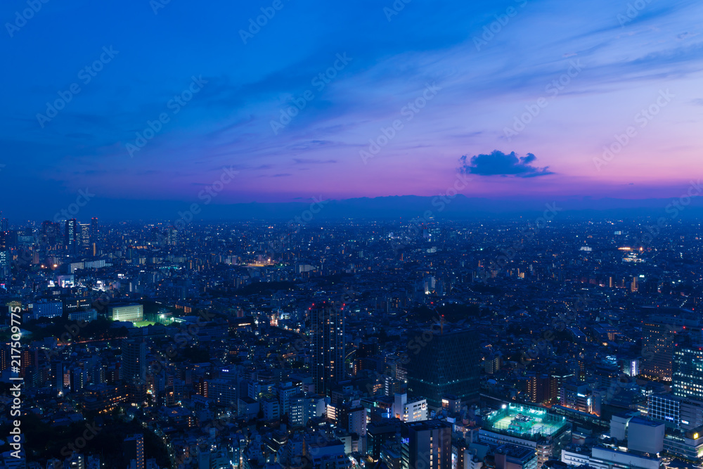 東京風景・マジックアワー・池袋から望む西方面