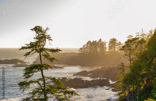 Shoreline at wild pacific trail in Ucluelet, Vancouver Island, BC photo