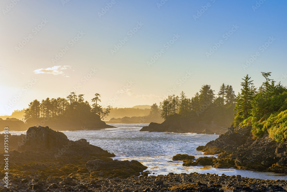 Obraz premium Shoreline at wild pacific trail in Ucluelet, Vancouver Island, BC