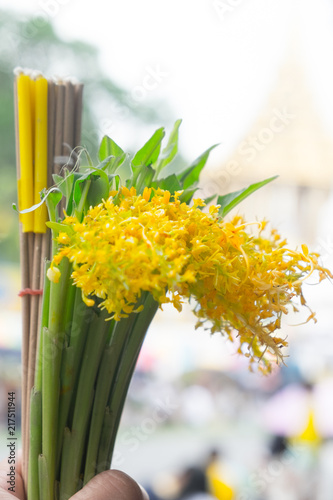 The Globba Schombugkii flowers with candle and joss stick photo