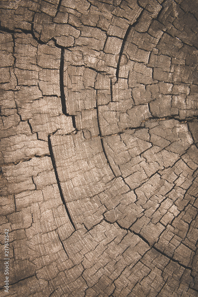 Old wood texture , dirty surface wooden background , brown wood dark style Old wood texture , dirty surface wooden background , brown wood dark style