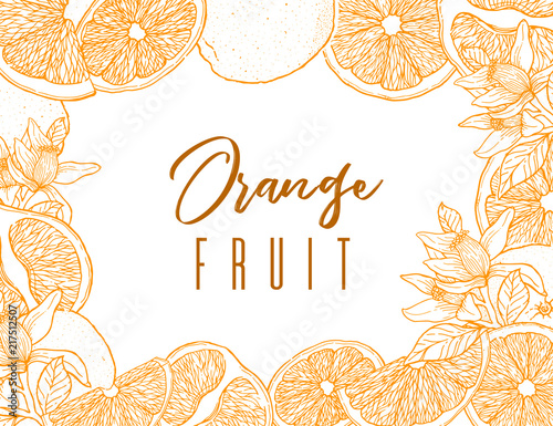 Ink hand drawn frame of orange fruit. Color contour of objects. Food element collection. Vintage sketch. Color label for products, package design