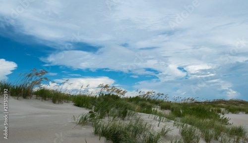 Wallpaper Mural Summer Beach Scenes - Bald Head Island North Carolina Torontodigital.ca