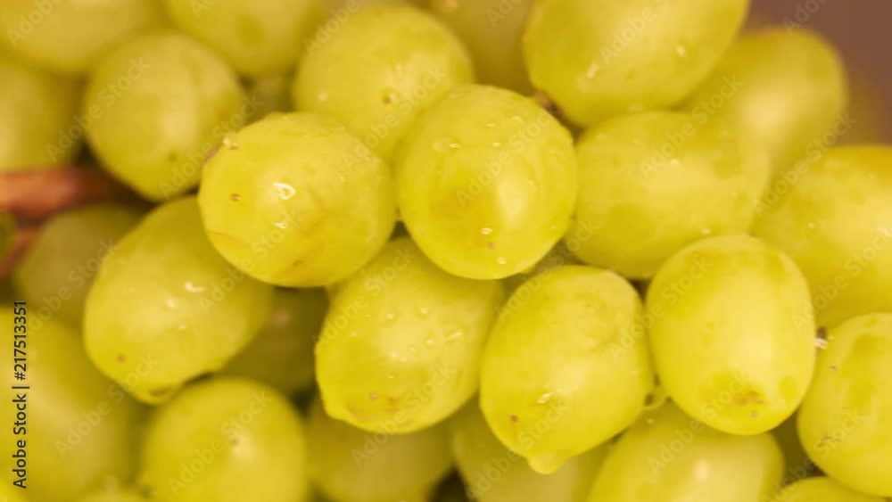 Bunch of white grapes turning around. Wet green grape with water drops close-up Bunch of white grapes turning around. Wet green grape with water drops close-up