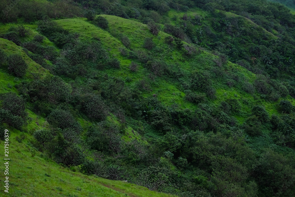 Lush green monsoon nature landscape mountains, hills, farming plot, Purandar, Pune, Maharashtra, India 