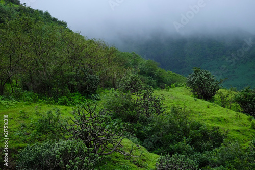 Lush green monsoon nature landscape mountains  hills  farming plot  Purandar  Pune  Maharashtra  India 