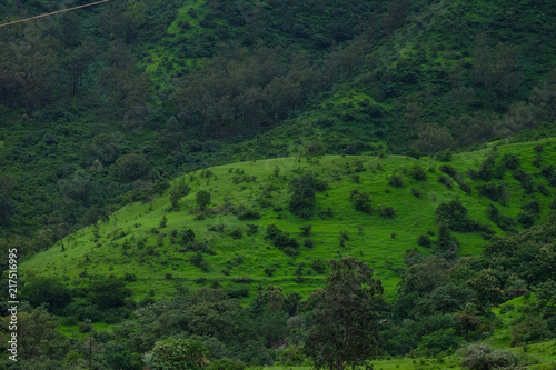 Lush green monsoon nature landscape mountains, hills, farming plot, Purandar, Pune, Maharashtra, India © Sandeep