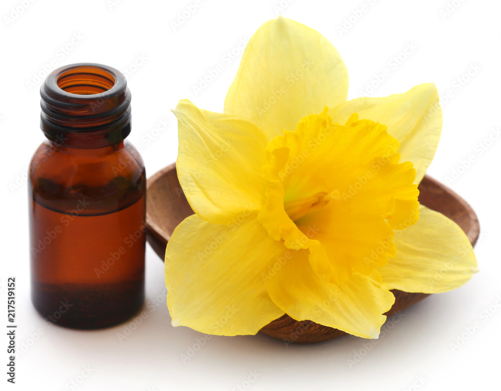 Flower daffodil with essential oil Flower daffodil with essential oil