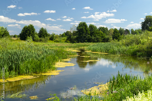 Year landscape with stream