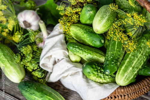 Fresh cucumbers, dill and garlic. Freshly harvested vegetables for pickling. Organic cucumber.