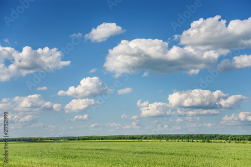 Green field and blue sky © epitavi