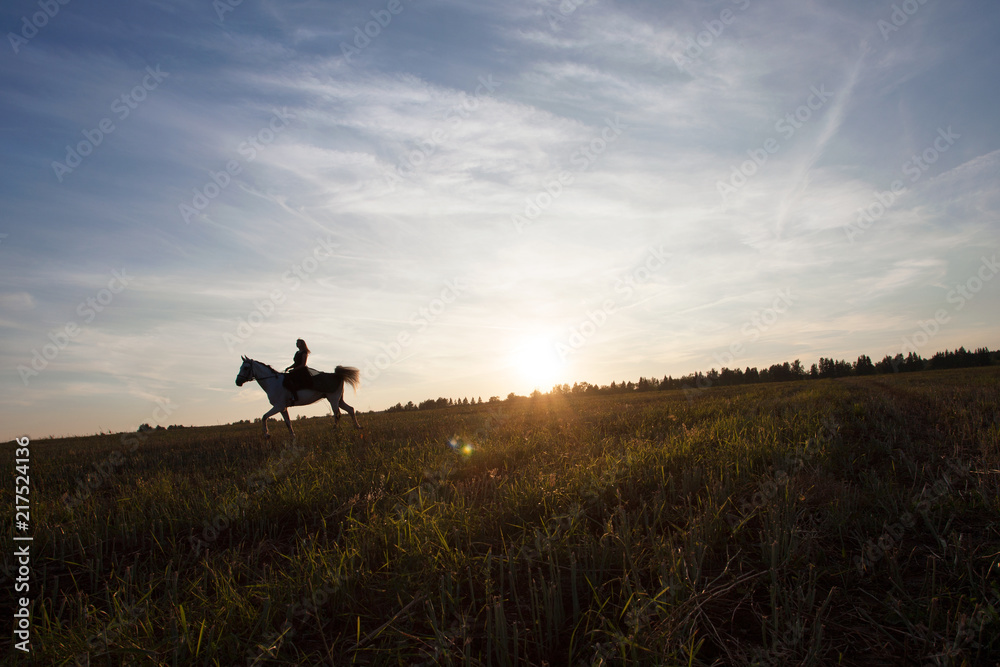 Girl on a horse in the sunset. Sunset. Animals. Equestrian sport. Nature. Romance
