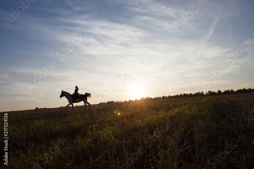 Girl on a horse in the sunset. Sunset. Animals. Equestrian sport. Nature. Romance