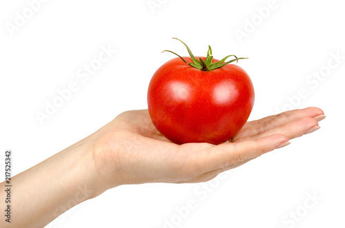 Fresh whole raw red tomato with green leaf and hand, isolated on white background