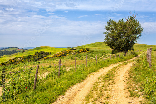 Sentiero con recinto nelle Crete Senesi
