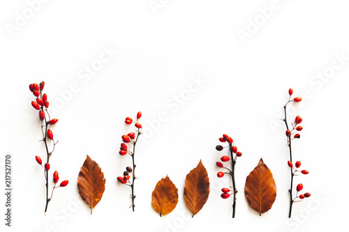 Autumn Background With Red Berries And Brown Leaves