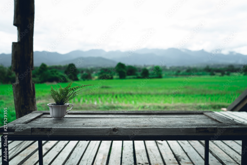Fototapeta premium Living room In nature Rice Fields in the rainy season 