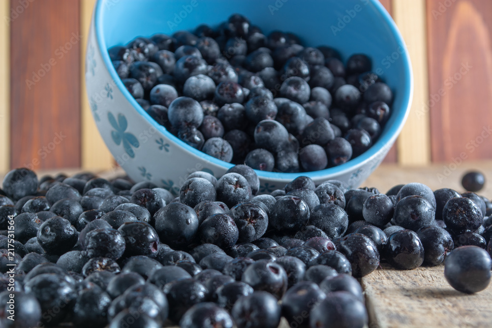 White bowl full with frozen aronia berries White bowl full with frozen aronia berries