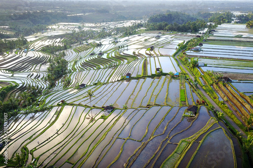 Aerial view of Bali Rice Terraces. The beautiful and dramatic rice fields of Jatiluwih in southeast Bali have been designated the prestigious UNESCO world heritage site.