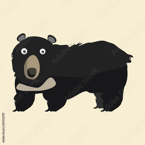 bears vector illustration