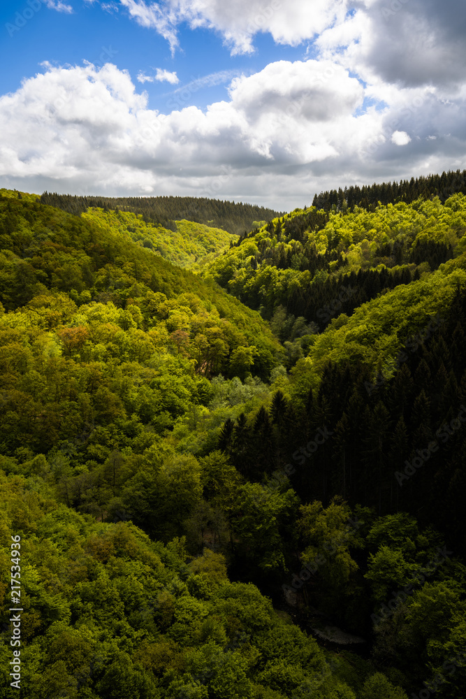 High contract valley in the forest. Germany
