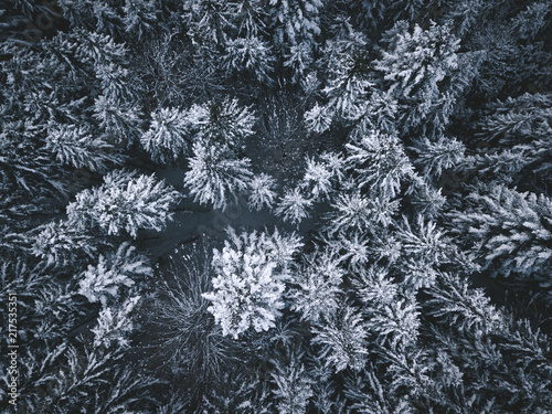 An Aerial View of Snowcovered Pinetrees in Winter