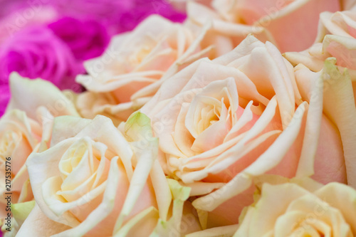 Close up view of a bouquet of a tea-roses as background