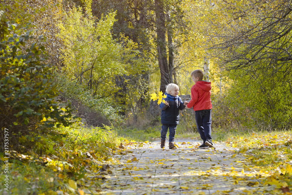 Two boys plaing in the autumn forest. Sunny day. Back view Two boys plaing in the autumn forest. Sunny day. Back view