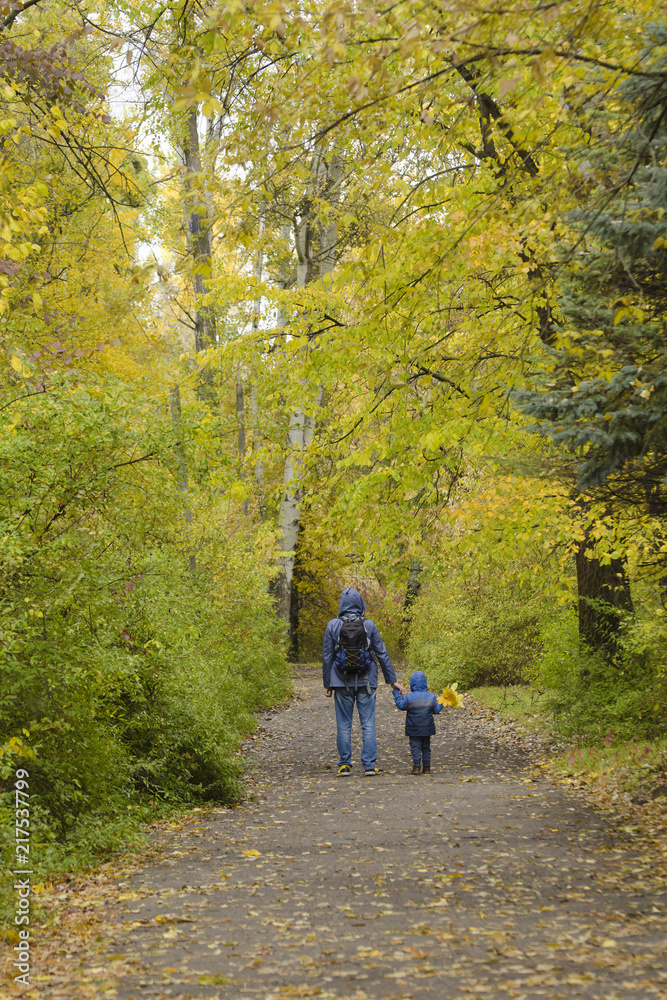 Father and son on their shoulders walk through the autumn park. Back view Father and son on their shoulders walk through the autumn park. Back view