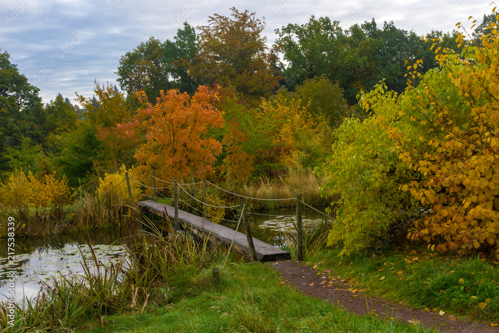 Fototapeta premium Herbststimmung 1