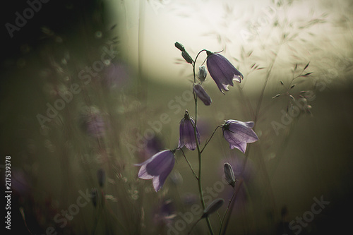 Field bells