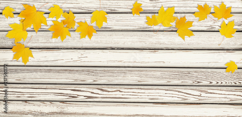 Autumn maple twig with yell...