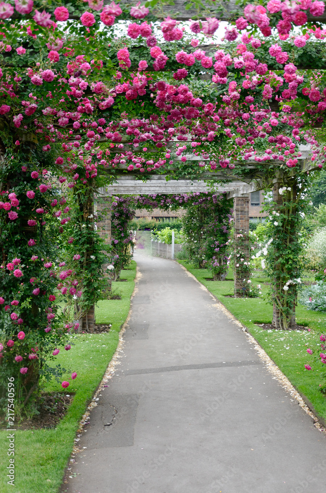 Tunnel de fleurs roses