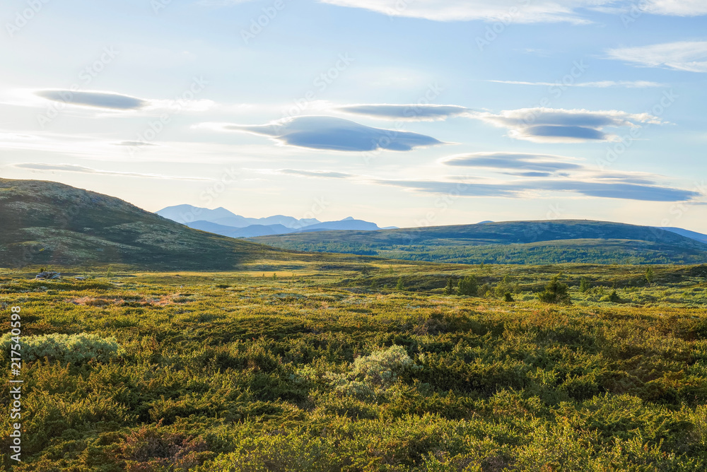 Obraz premium Summer evening at Ringebu mountain