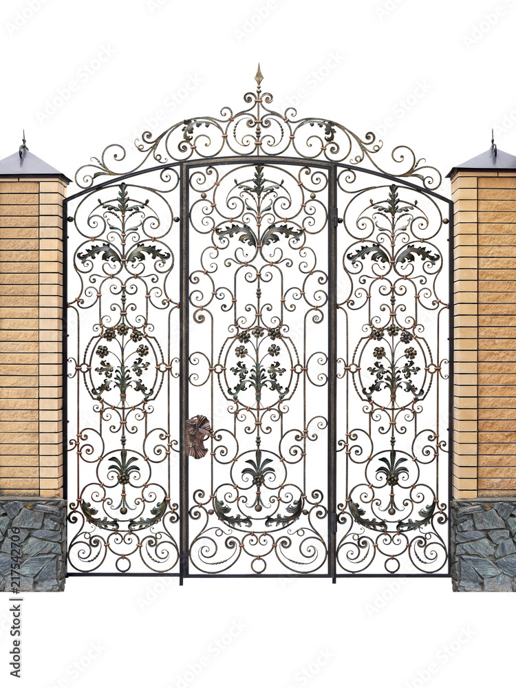 Naklejka premium Forged fence and doors with decor.