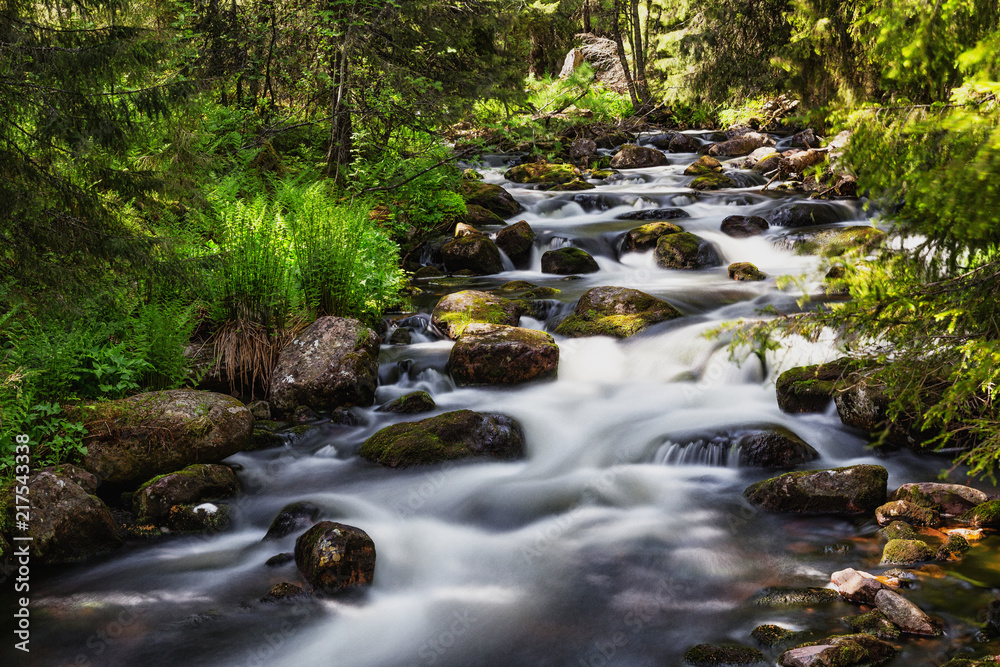 Fototapeta premium Fluss