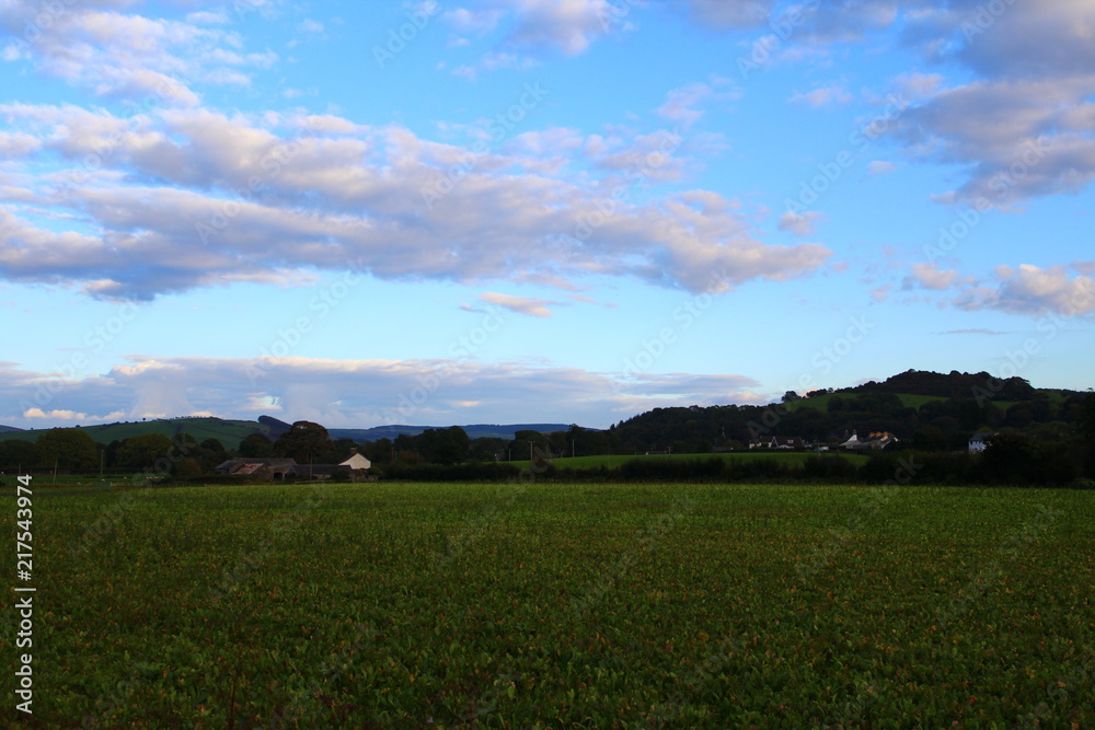 Countryside Landscape Background