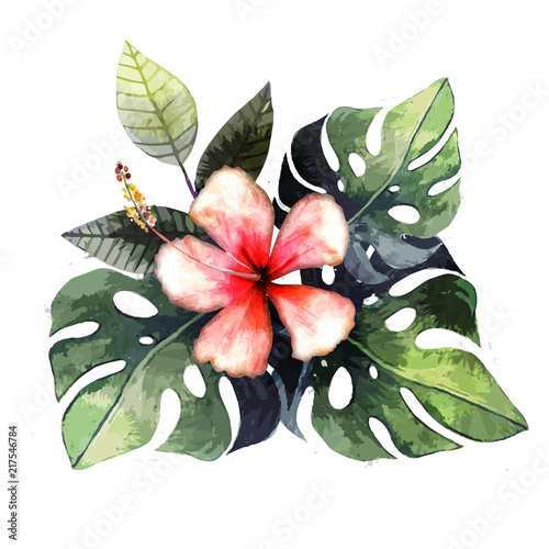 Hand drawn watercolor tropical plants.