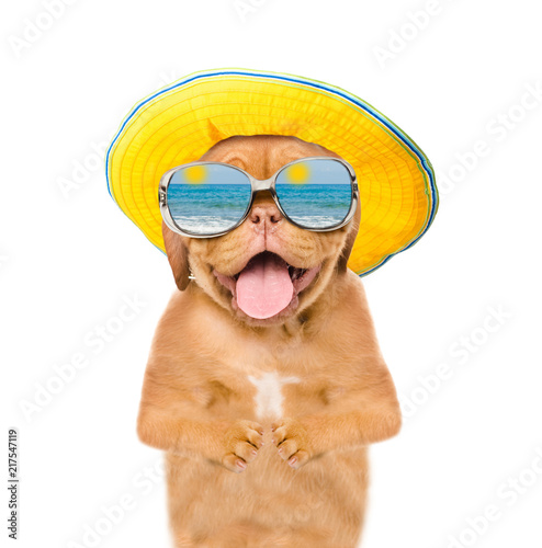 Happy puppy with open mouth in sunglasses with beach reflection © Ermolaev Alexandr