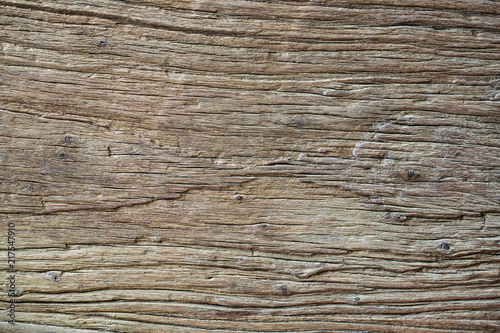 Regular texture of wood